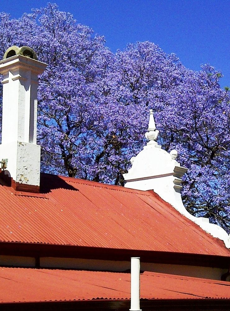 Melvin Residence Guest House Pretoria-Noord Eksteriør bilde