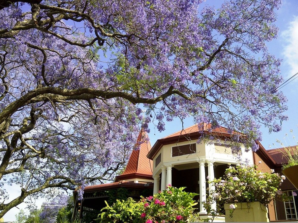 Melvin Residence Guest House Pretoria-Noord Eksteriør bilde